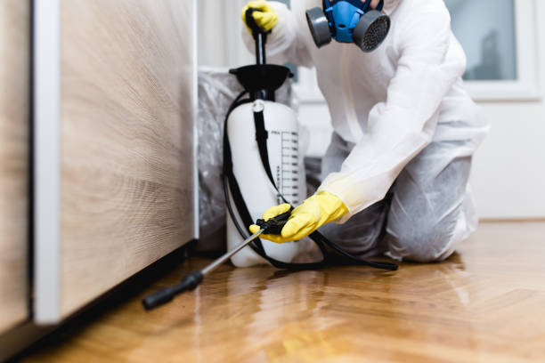 Best Termite Control Services  in Bal Harbour, FL