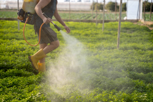 Best Exterminator Services  in Bal Harbour, FL