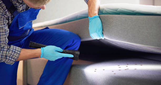 Best Cockroach Control Services  in Bal Harbour, FL