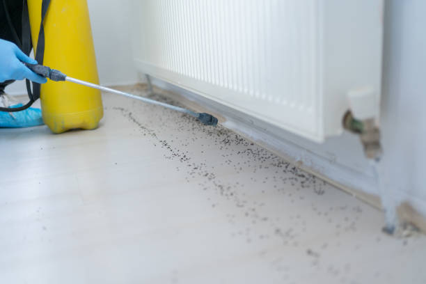 Best Commercial Pest Control Services  in Bal Harbour, FL