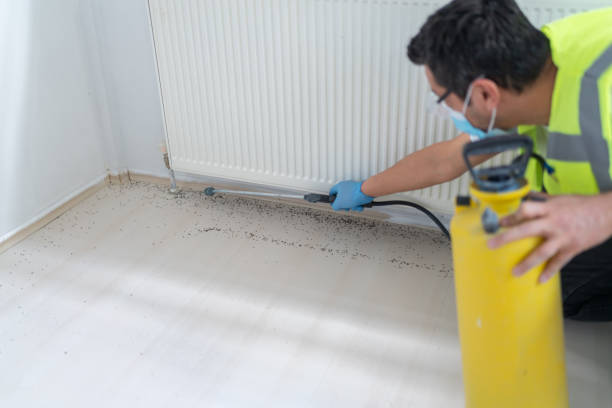 Best Affordable Pest Control Services  in Bal Harbour, FL